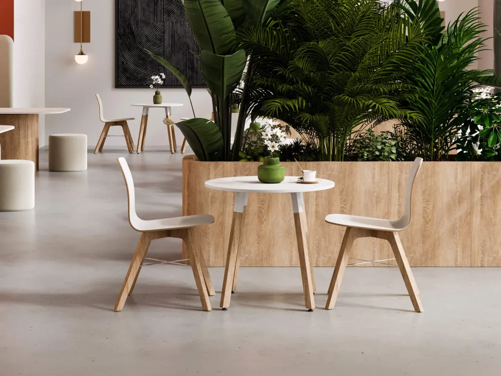 TOC-biophilic design_intro 1000x750px